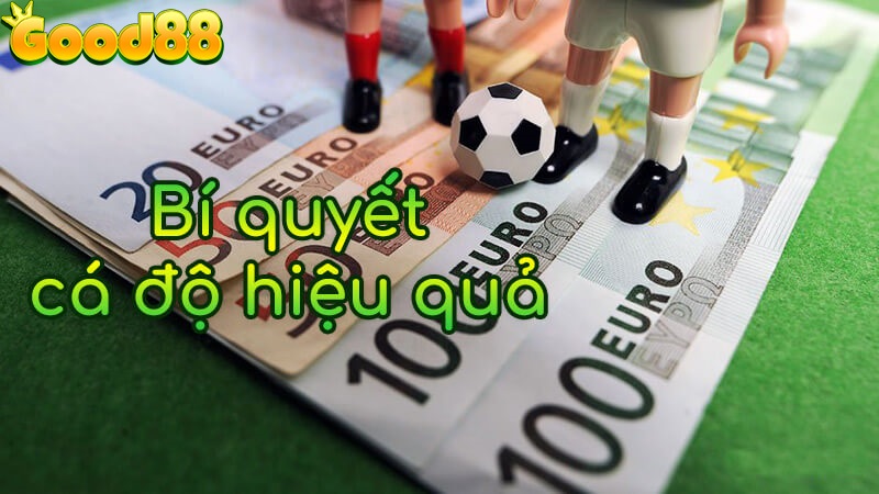 bí quyết cá độ