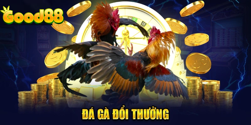 Game đá gà trực tuyến Good88 - Sân chơi đỉnh cao làm giàu cho kê thủ 4 đá gà đổi thưởng