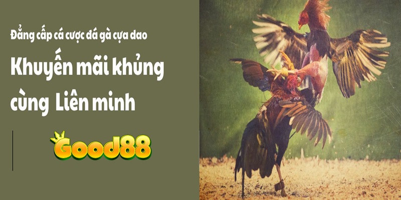 Game đá gà trực tuyến Good88 - Sân chơi đỉnh cao làm giàu cho kê thủ 3 khuyến mãi đá gà