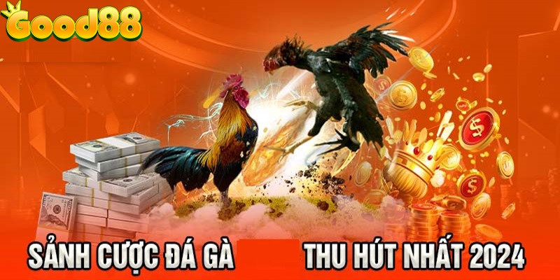 Đá gà Good88 - Trải nghiệm đỉnh cao những trận chiến nảy lửa 3 sảnh cược đá gà