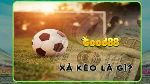 Hủy kèo bóng đá: Lợi ích và rủi ro là gì? Cùng Good88 tìm hiểu 6 hủy kèo bóng đá
