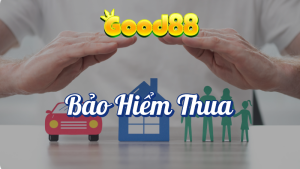 Bảo Hiểm Cược Thua Tại Good88 7 Bảo hiểm thua cược