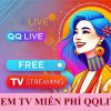 Xem TV miễn phí QQLive 24h: Đắm chìm không gian đặc sắc cực cuốn