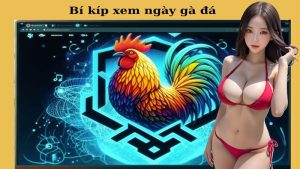 Bí kíp xem ngày gà đá chuẩn không cần chỉnh – Game thủ 89BET bật mí tuyệt chiêu thắng lớn 3 Bí kíp xem ngay gà đá