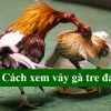 Cách xem vảy gà tre đá chuẩn xác – Bí kíp bất bại từ cao thủ đá gà online tại 89BET